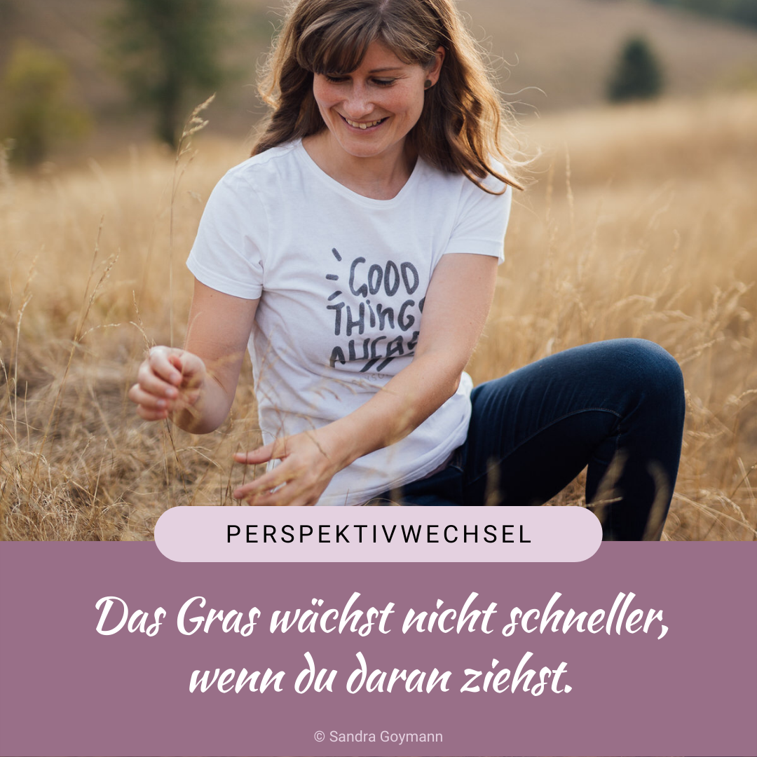 Das Gras wächst nicht schneller, wenn du daran ziehst